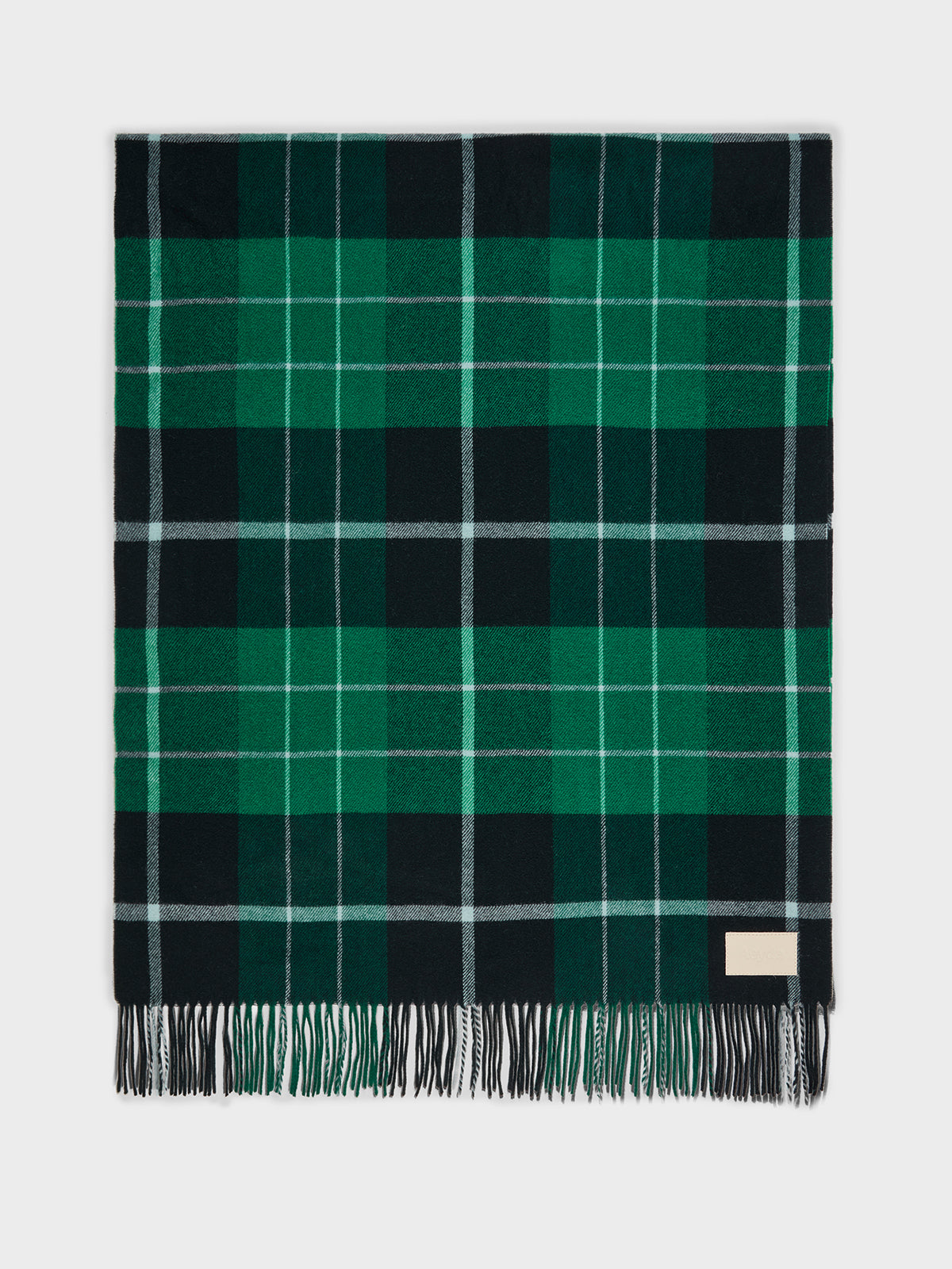 Aeyde | Benn Wool Scarves for Women | Moss Wool | Luxury Materials | Handmade in Italy