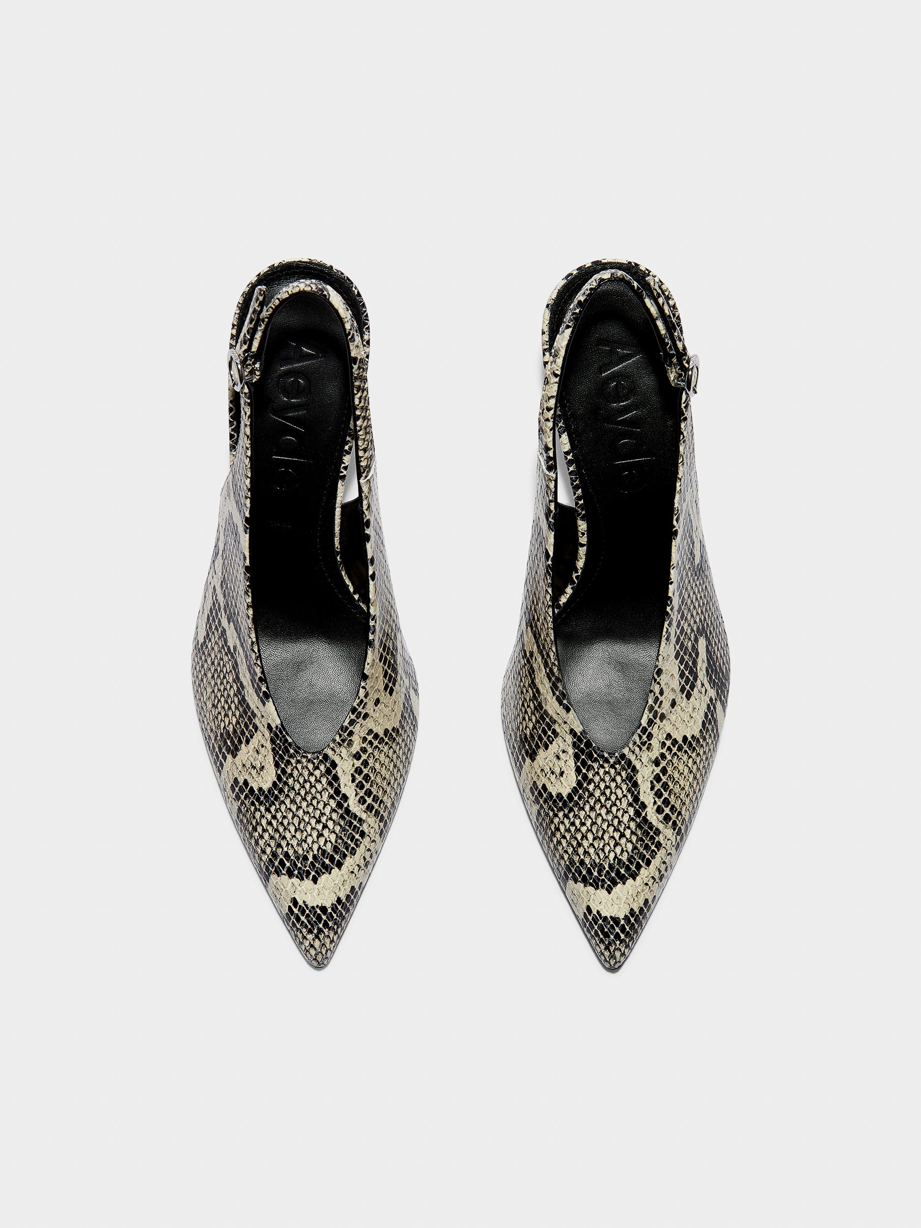 Carla Snake Print Pumps - Image 5