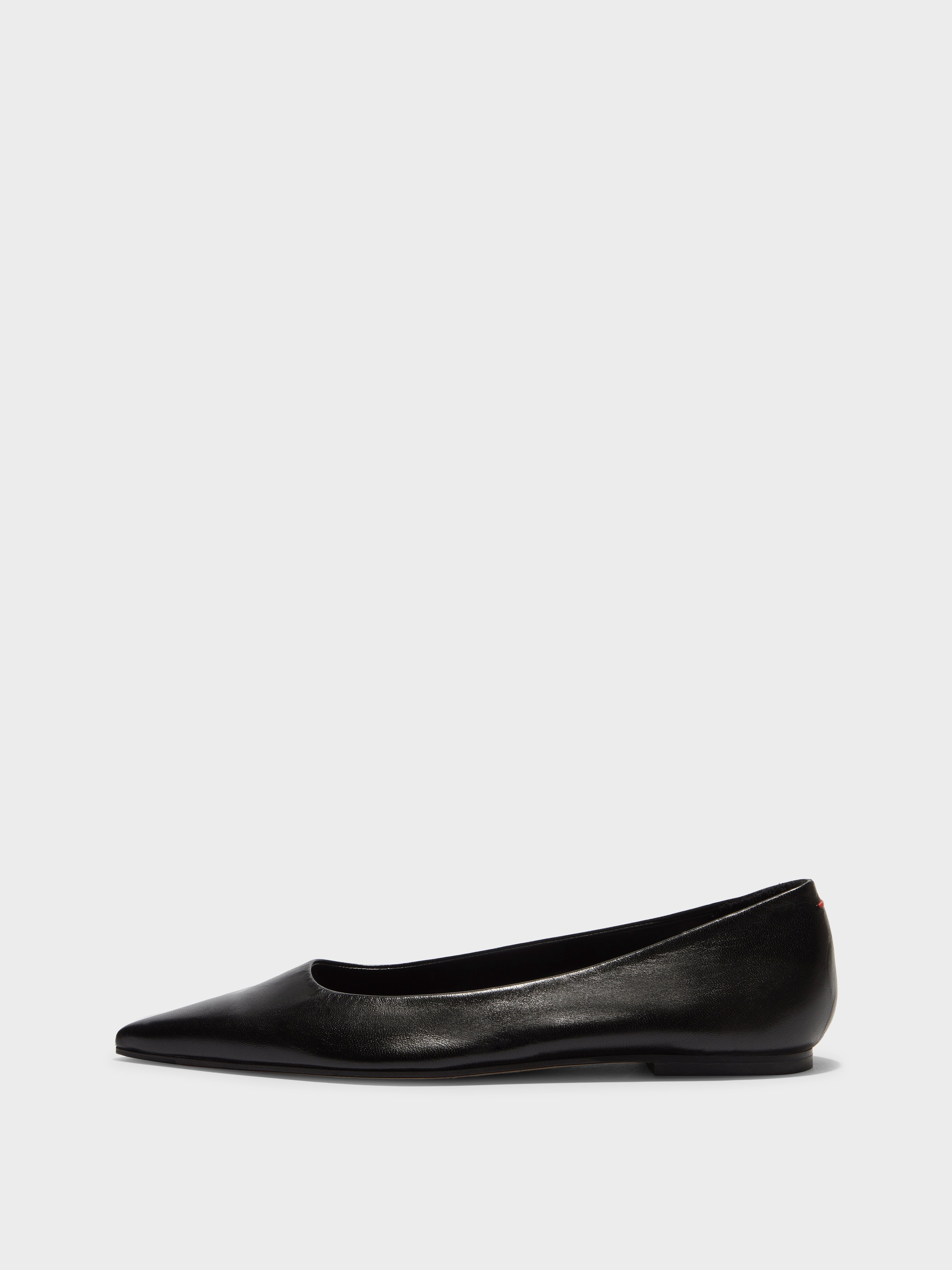 Cassy Pointed-Toe Flats - Image 1