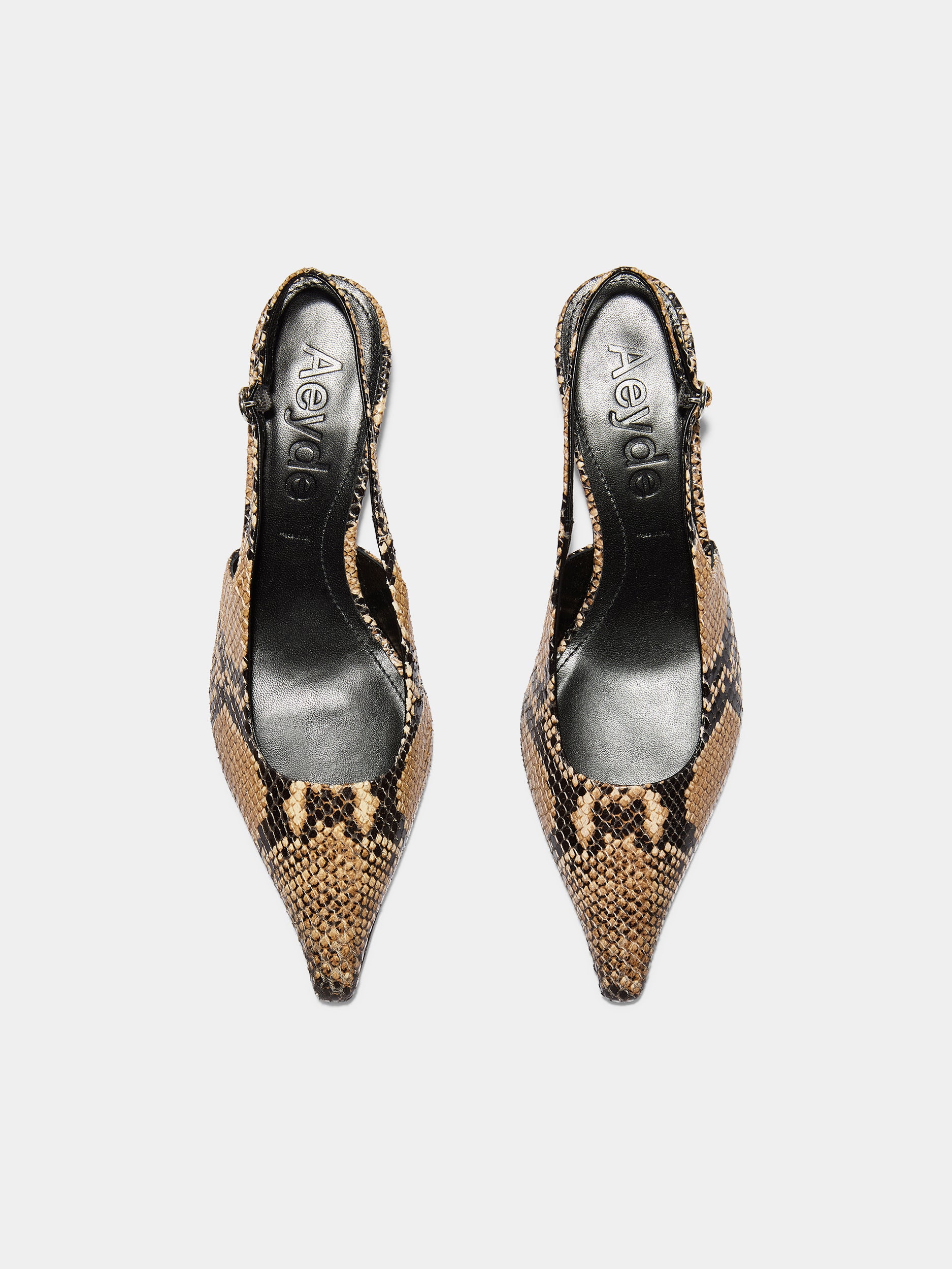 Catrina Snake Print Pumps - Image 5