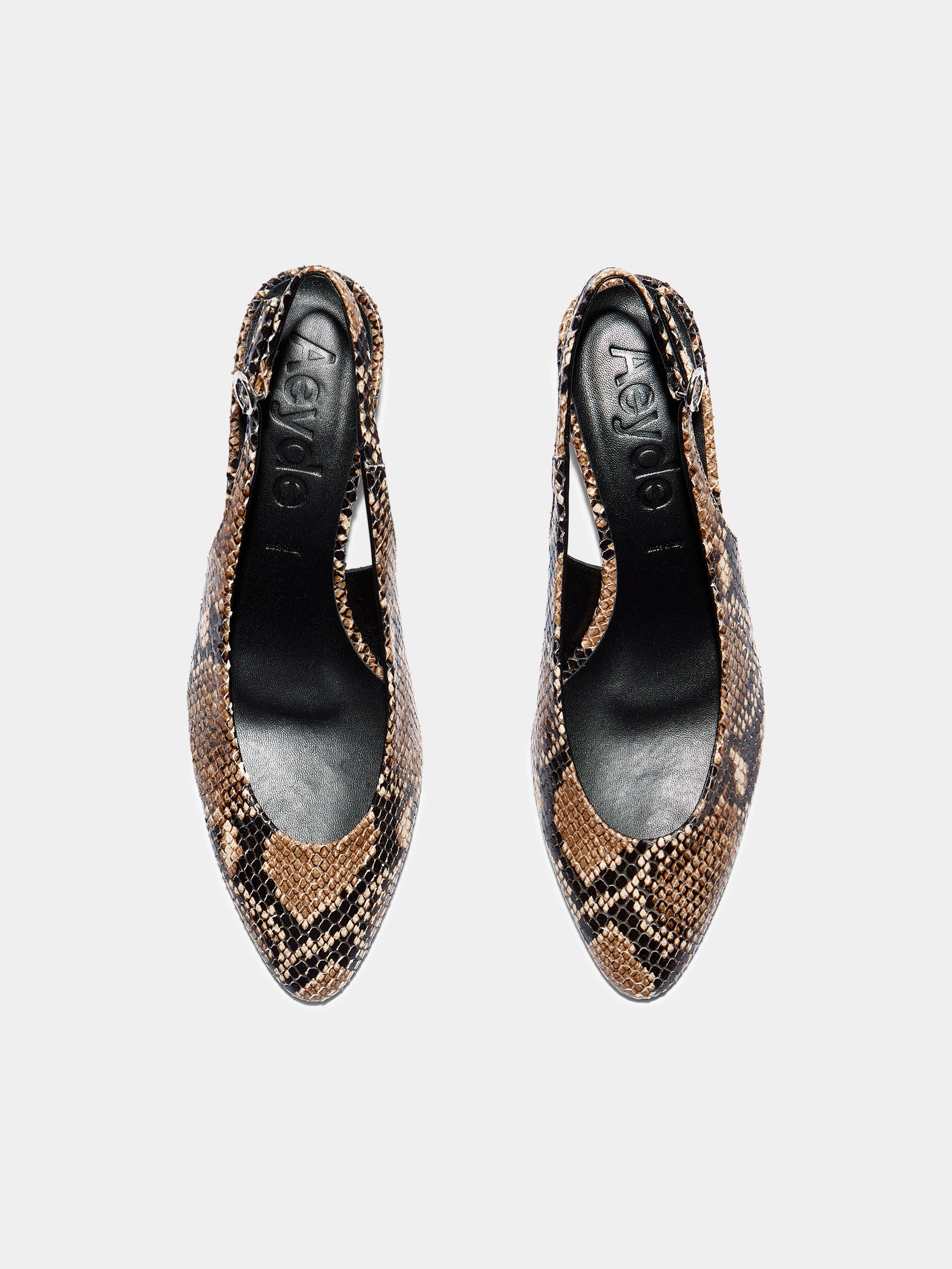 Celeste Snake Print Pumps - Image 5