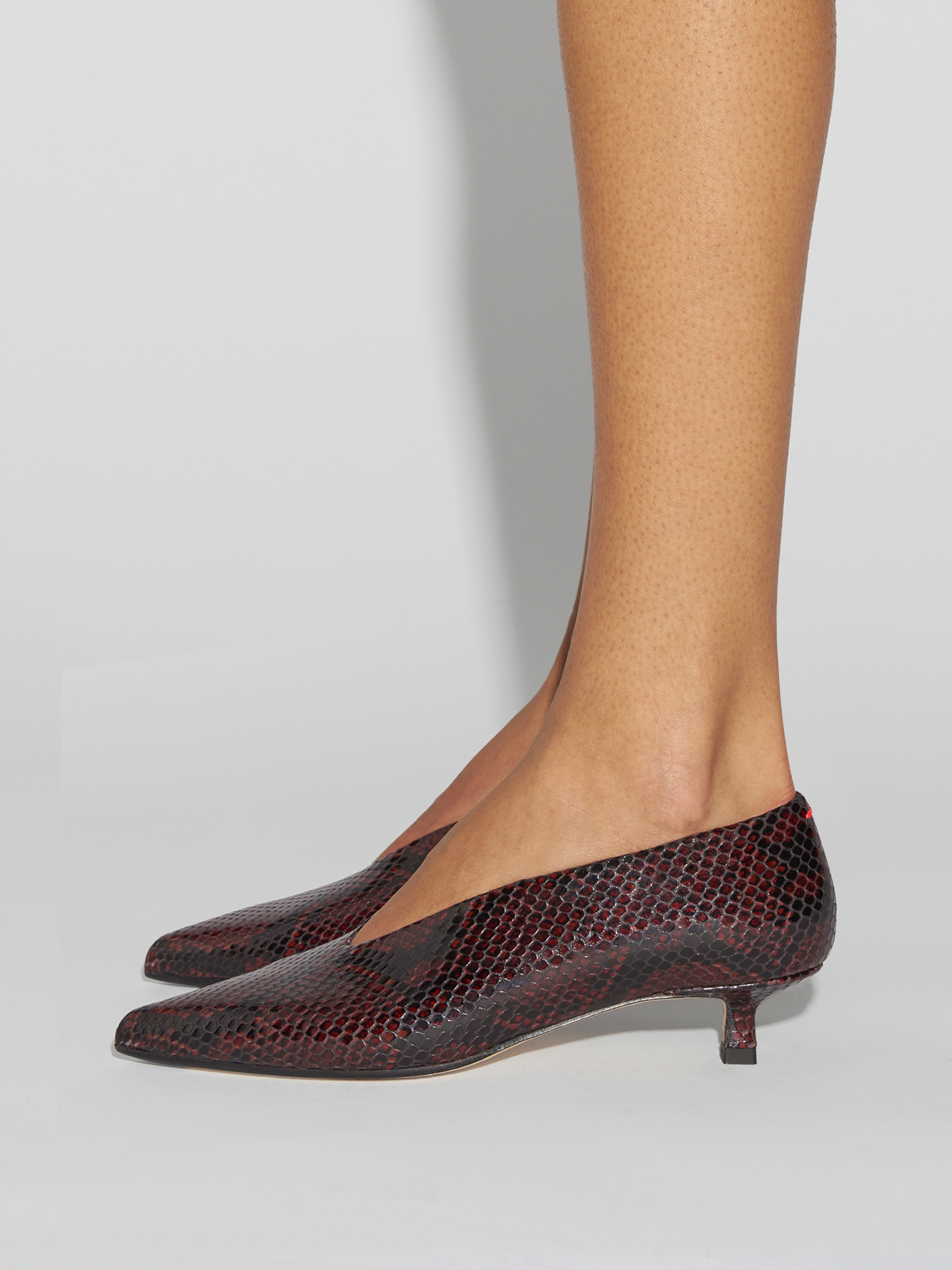 Aeyde | Clara Pointed-Toe Pumps Leather Pumps for Women | Port Snake | Pointed Toe | Low Heel | How to Style