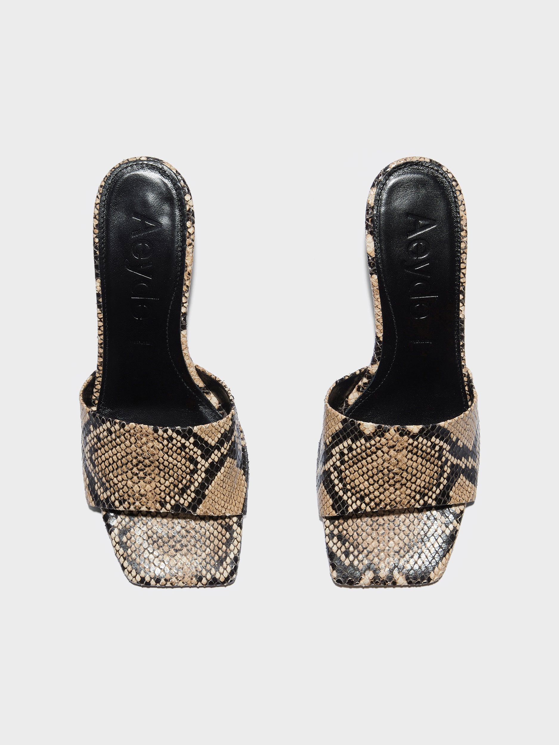 Aeyde | Jessie Leather Heeled Sandals for Women | Hazelnut Snake | Square Toe | Mid Heel | Front View