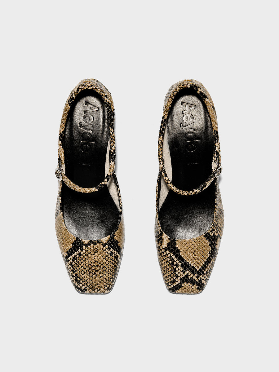Aeyde | Lina Leather Pumps for Women | Hazelnut Snake | Square Toe | Low Heel | Front View