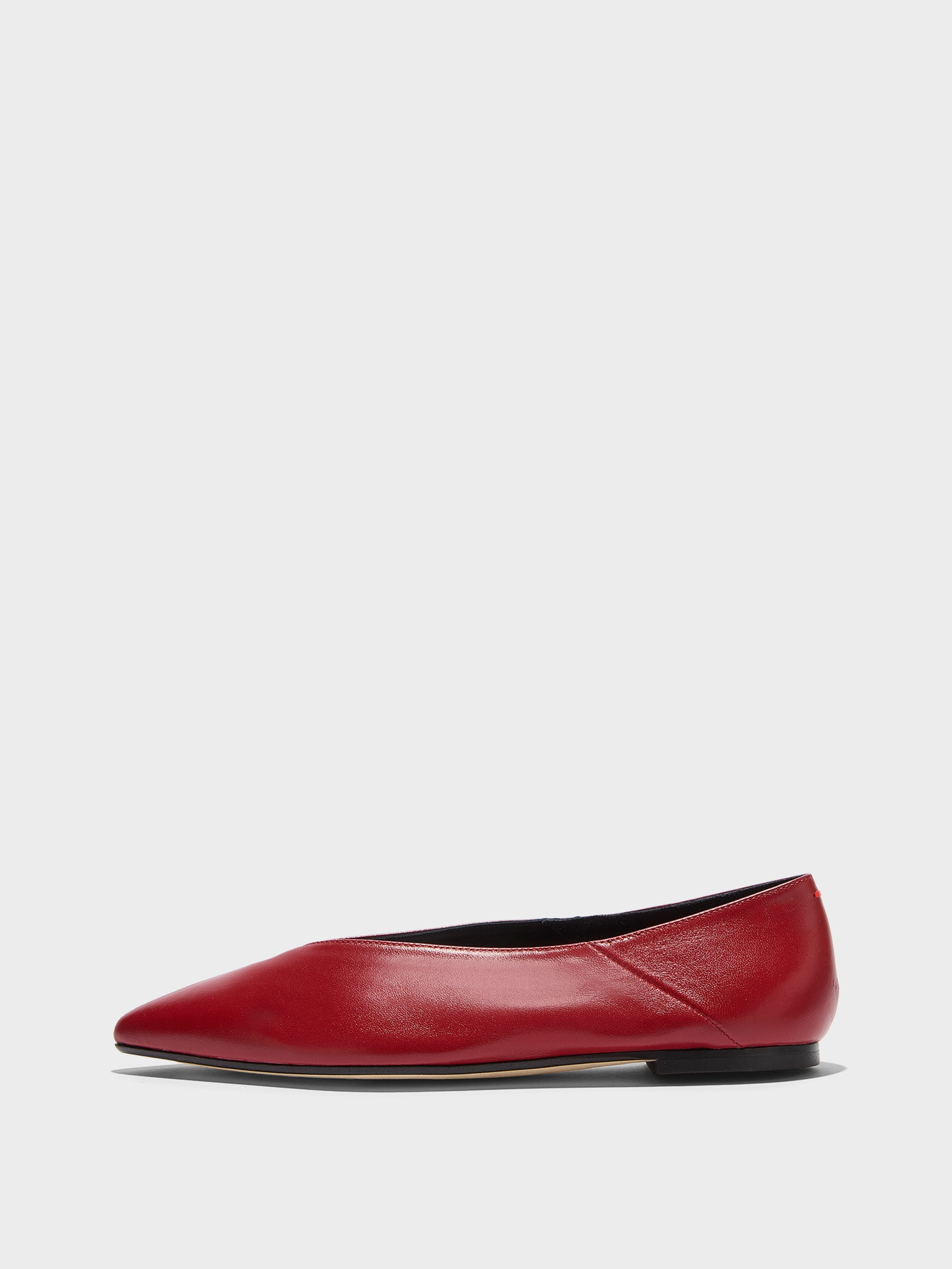 Moa Pointed-Toe Flats - Image 1