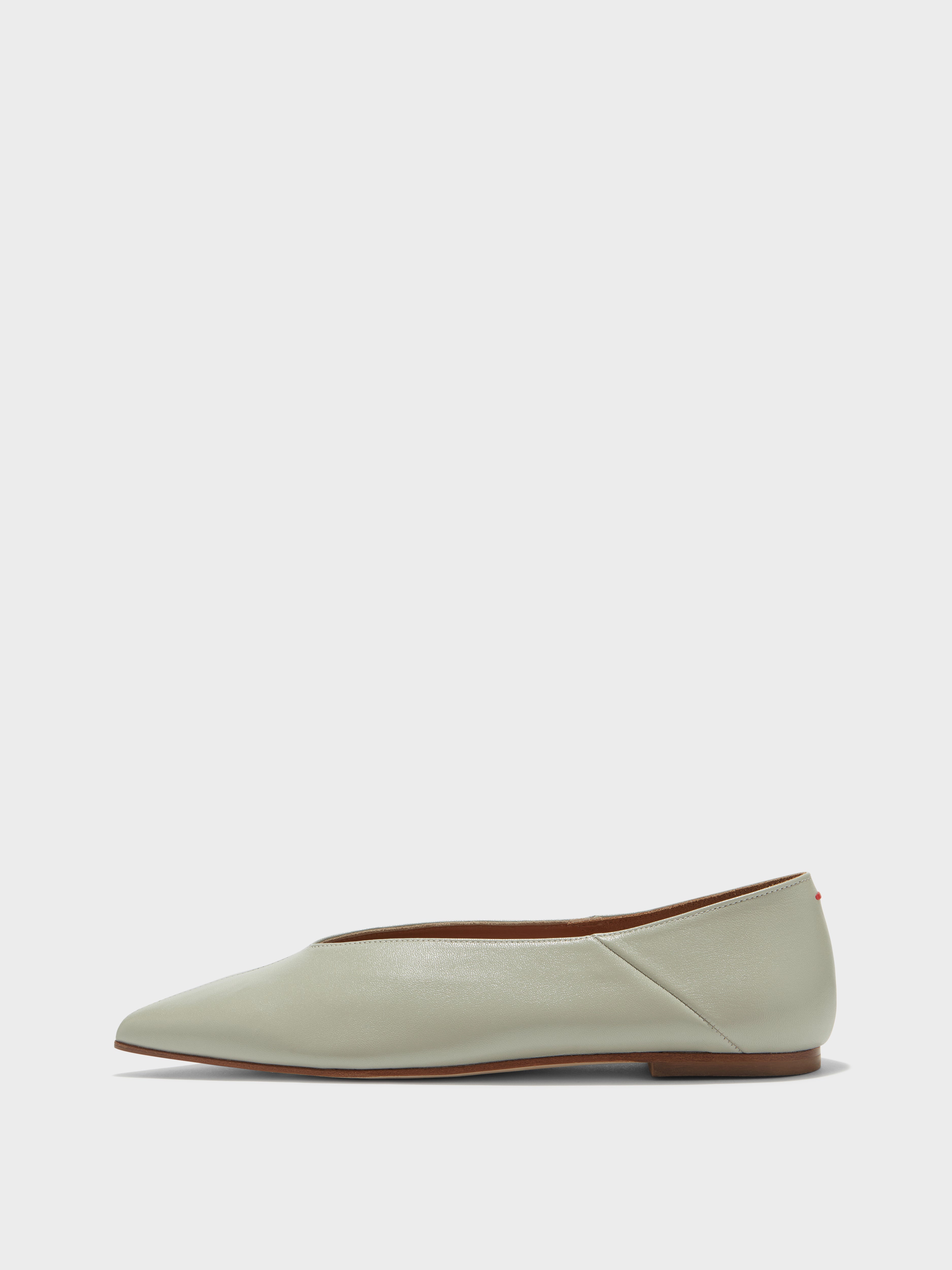 Aeyde | Moa Leather Ballet Flats Leather Flats for Women | Cloud Nappa | Pointed Toe | Flat Heel | Side View