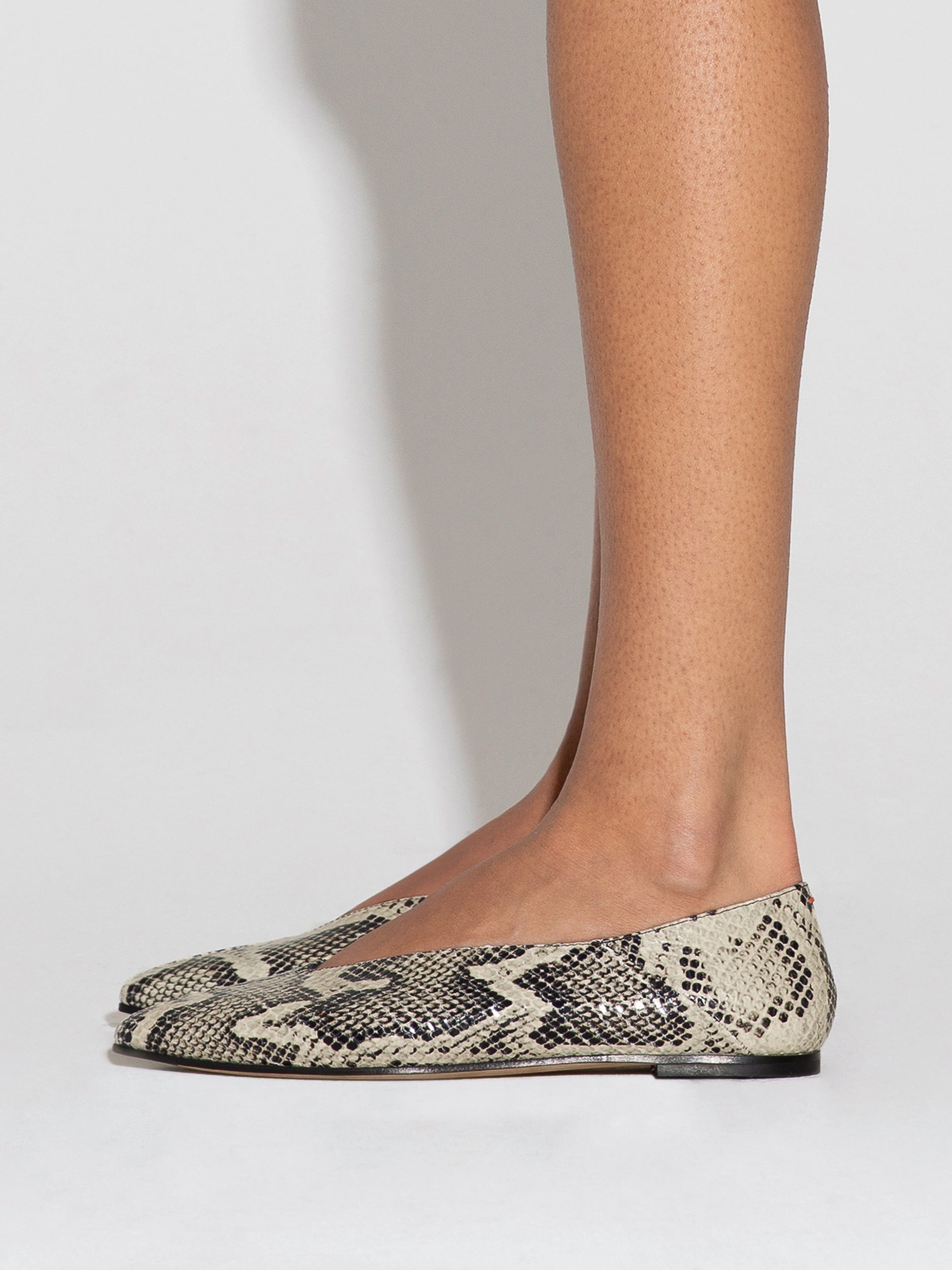 Moa Pointed-Toe Flats - Image 6