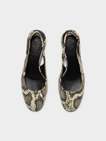Aeyde | Romy Leather Pumps Leather  for Women | Creamy Snake | Round Toe | Mid Heel | Front View