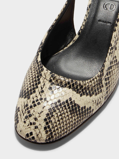 Aeyde | Romy Leather Pumps Leather  for Women | Creamy Snake | Round Toe | Mid Heel | Luxury Materials | Handmade in Italy