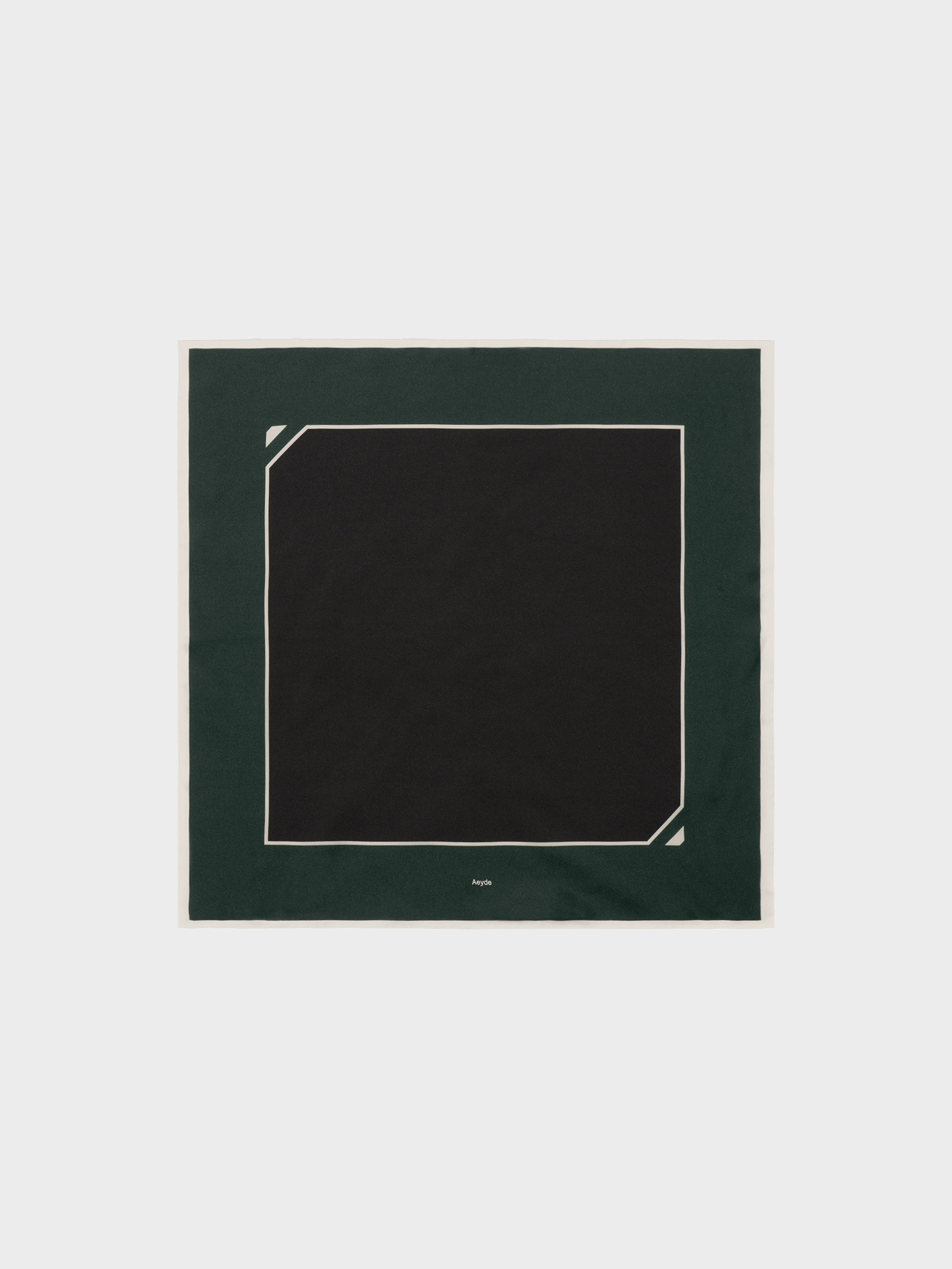 Aeyde | Soli Silk Scarf