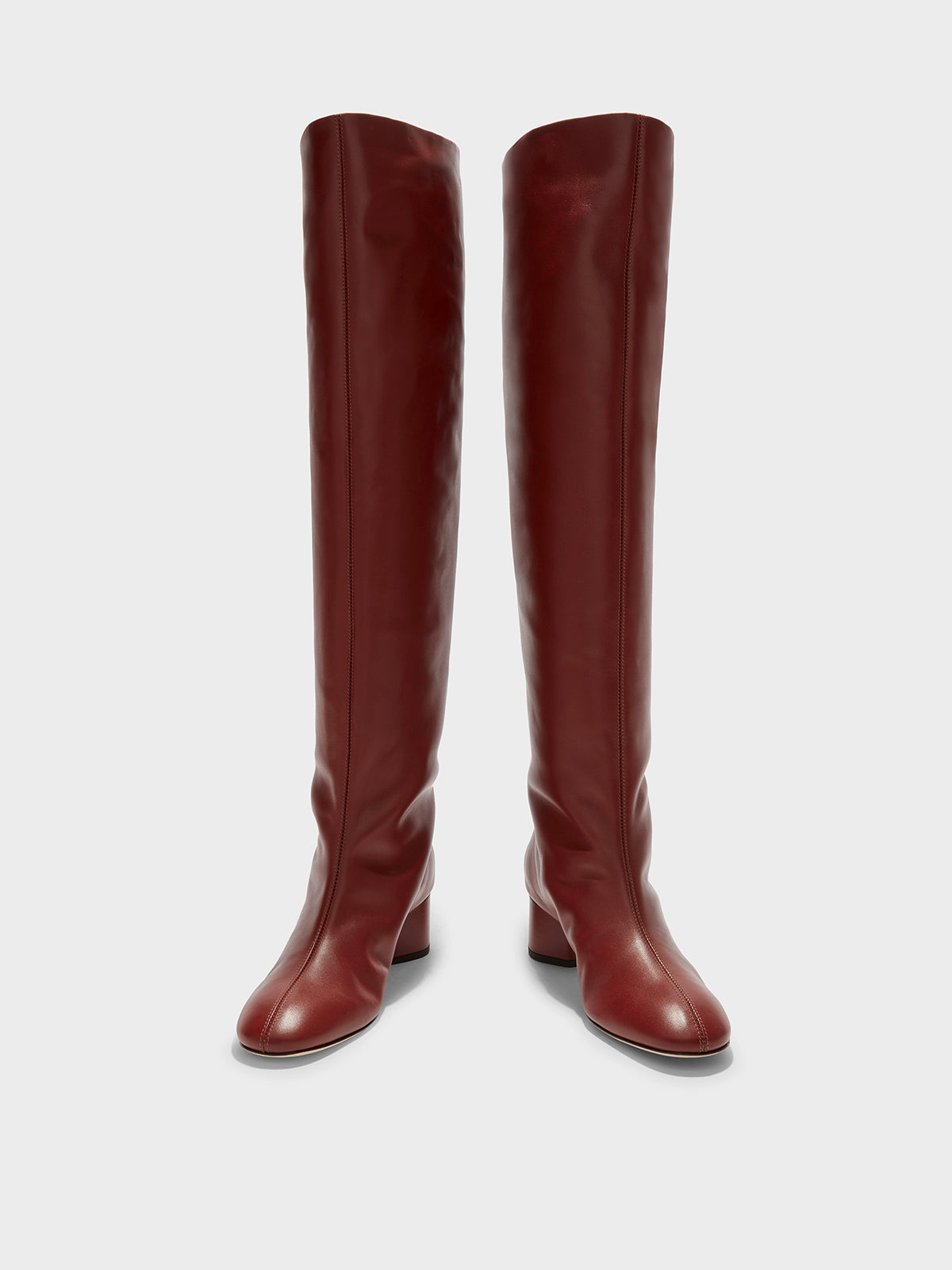 Aeyde | Willa Leather Over-Knee Boots Leather Knee High Boots for Women | Rust Calf | Round Toe | Mid Heel | Front View