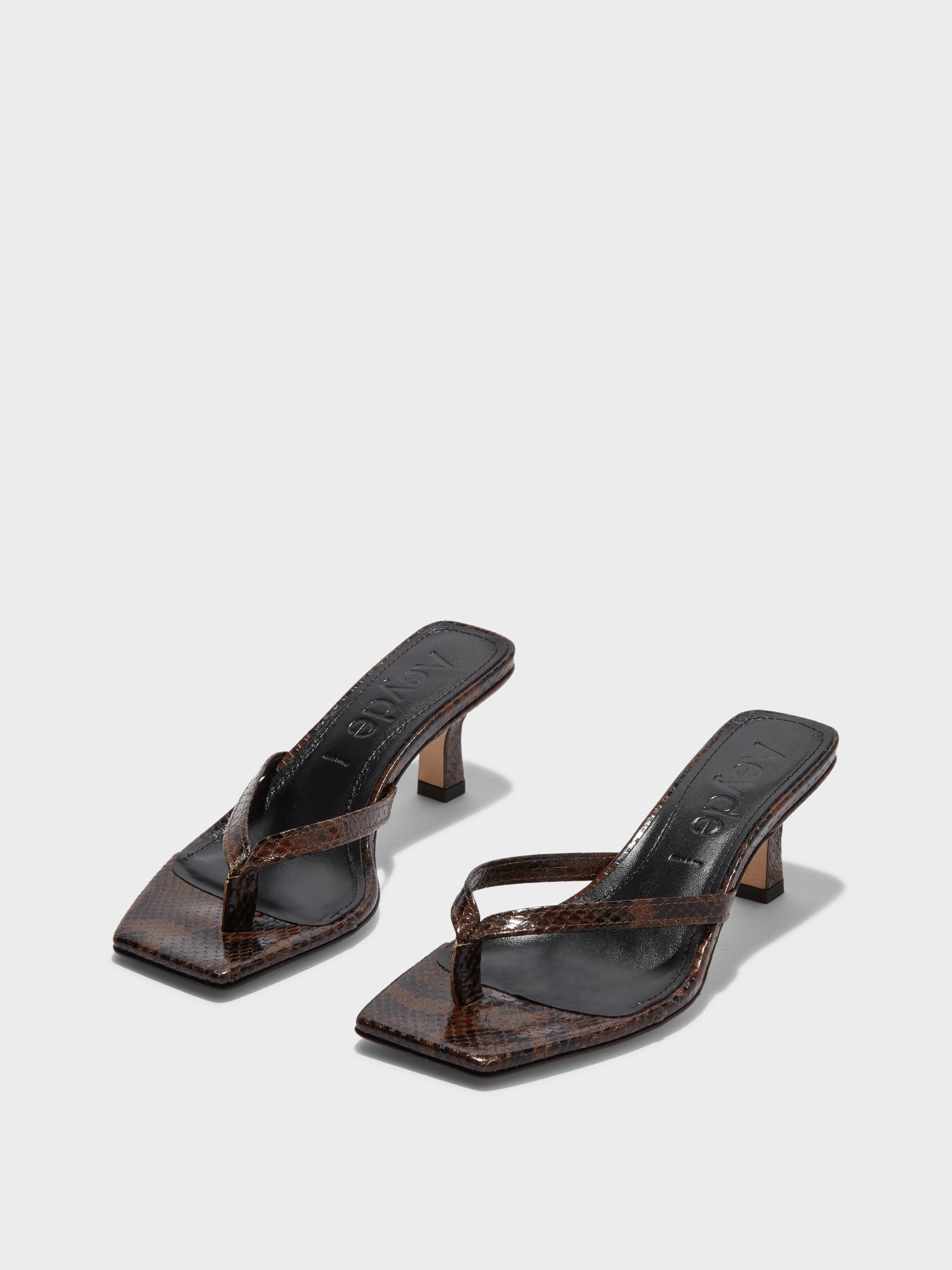 Aeyde | Wilma Leather Thong Sandals Leather Heeled Sandals for Women | Moka Snake | Square Toe | Mid Heel | On Feet