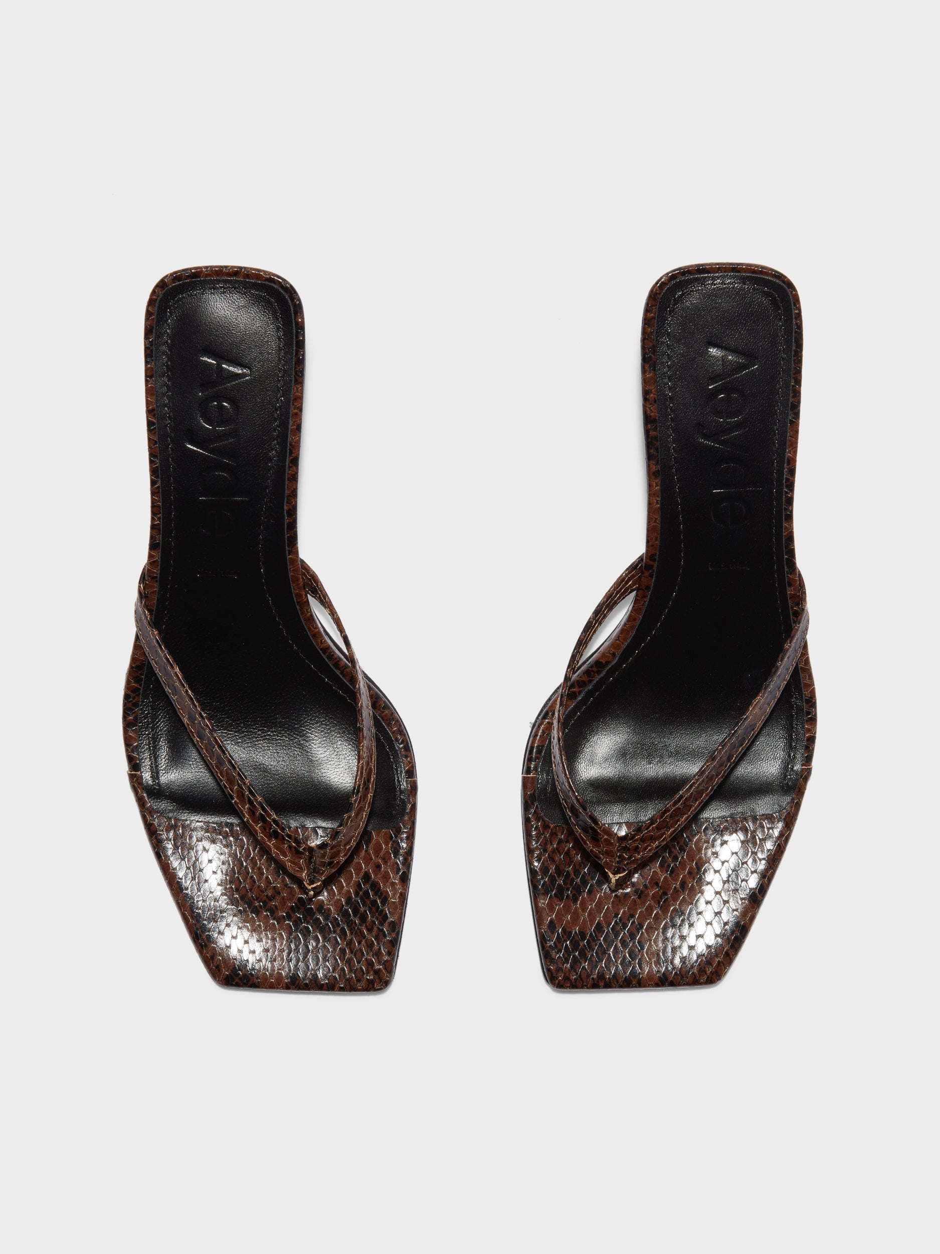 Aeyde | Wilma Leather Thong Sandals Leather Heeled Sandals for Women | Moka Snake | Square Toe | Mid Heel | Front View
