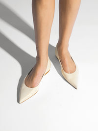 Cassy Pointed Ballet Flats