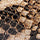 Lina Snake Print Mary-Janes