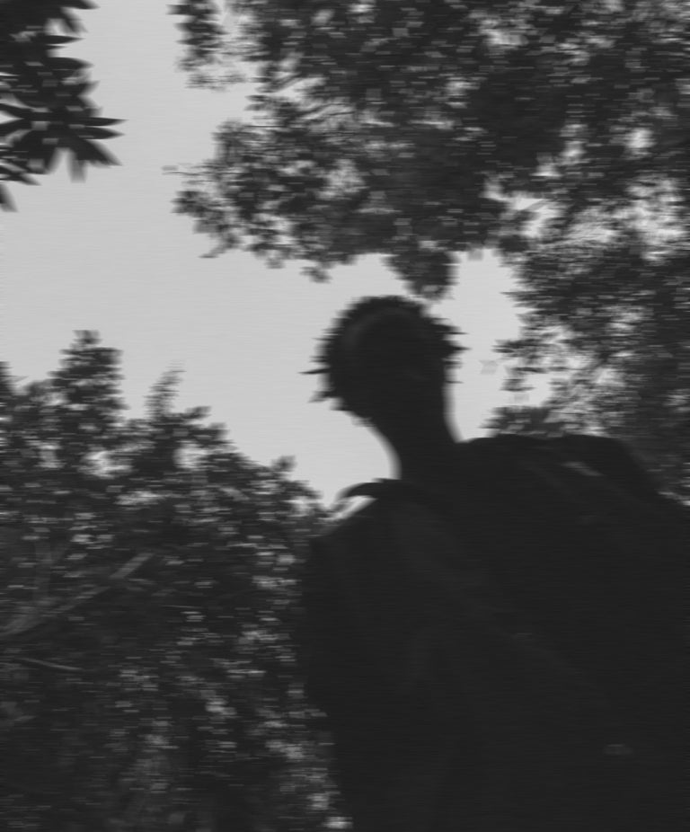 Description of the mobile image